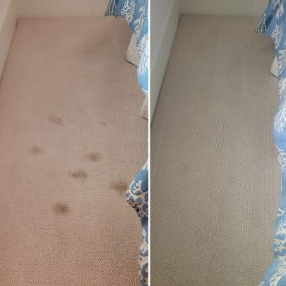 Residential carpet spot removal Vero Beach